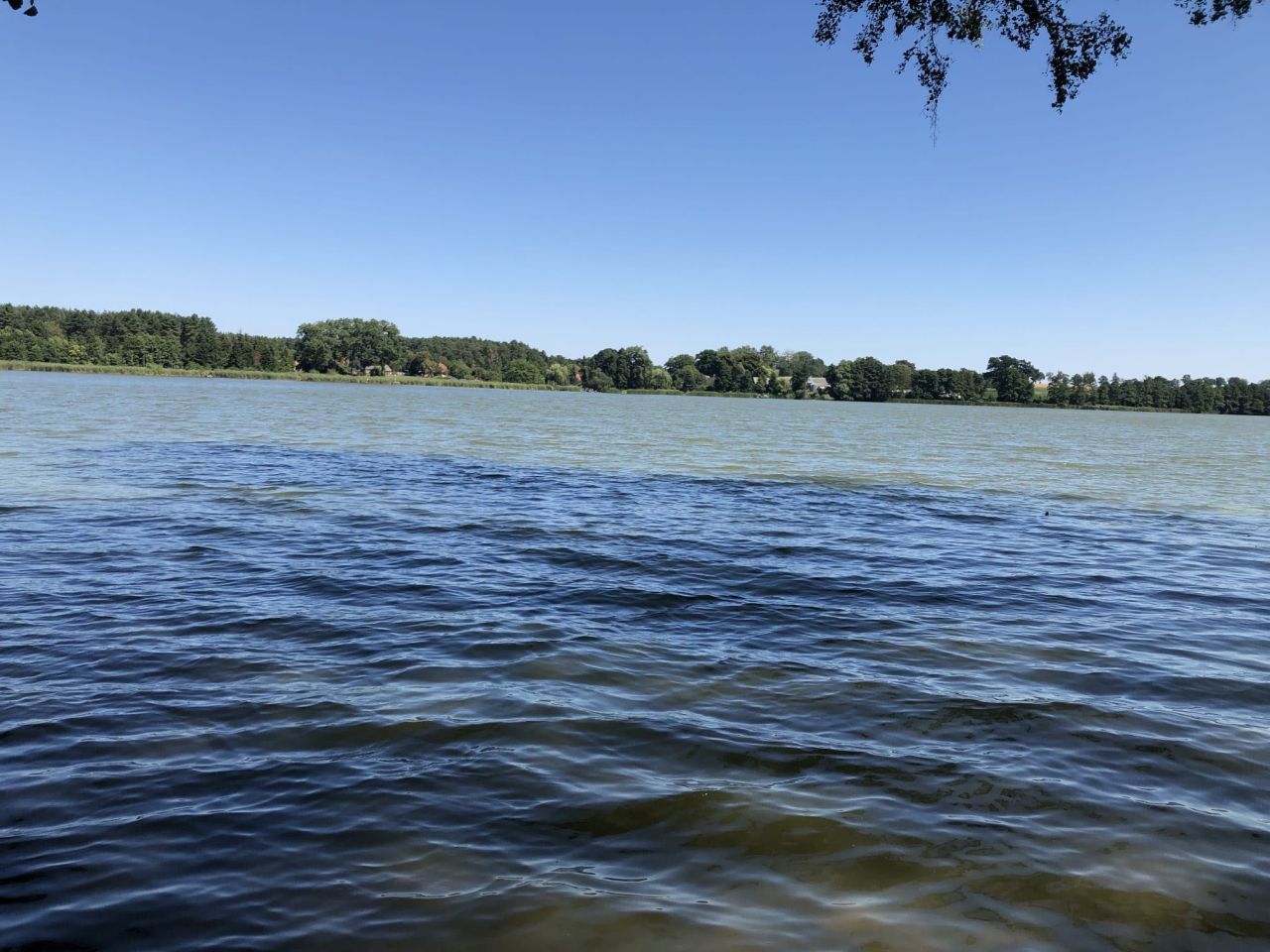 Działka rolna Pakawie. Zdjęcie 8