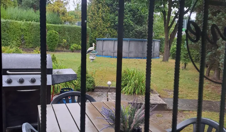 Działka rod Ruda Śląska Bielszowice, ul. Wiejska