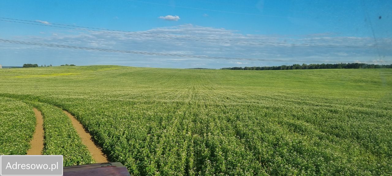 Działka rolna Jaworzno. Zdjęcie 4