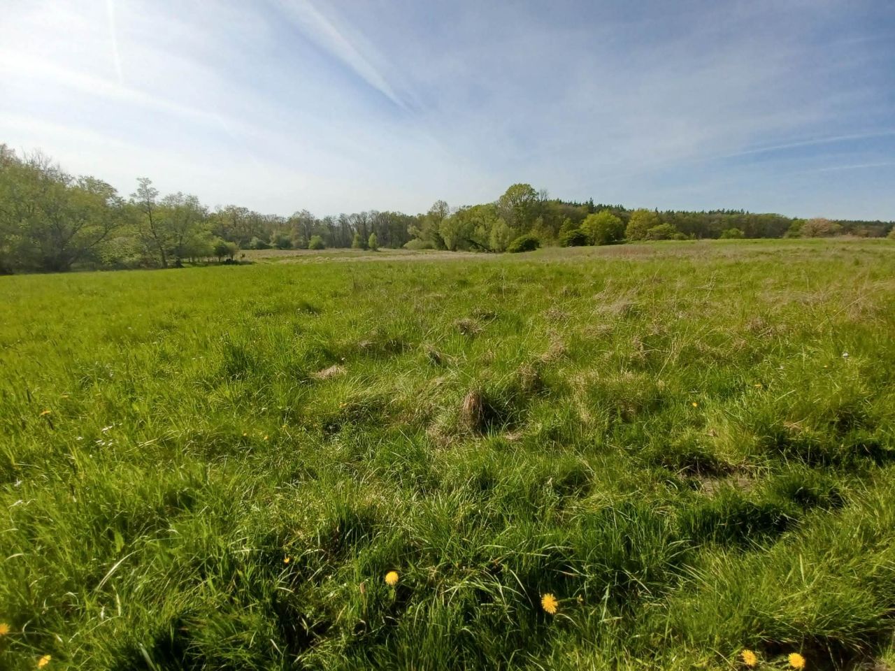 Działka rolna Gliniany. Zdjęcie 9