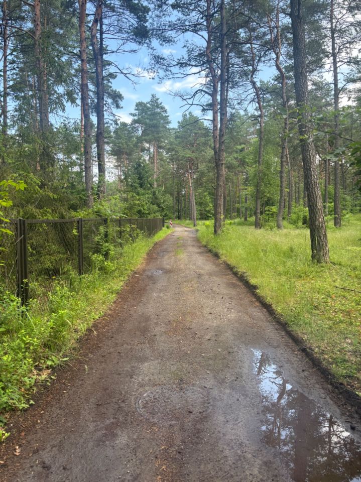 Działka budowlana Ogrodzieniec. Zdjęcie 8