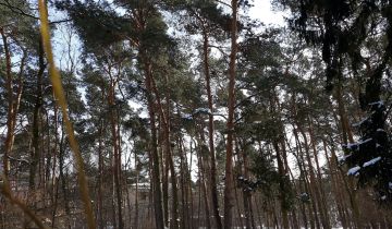 Działka leśna Otwock Śródmieście, ul. T. Ślusarskiego 1