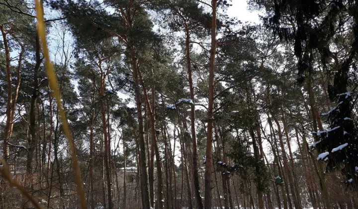 Działka inwestycyjna Otwock Śródmieście, ul. T. Ślusarskiego