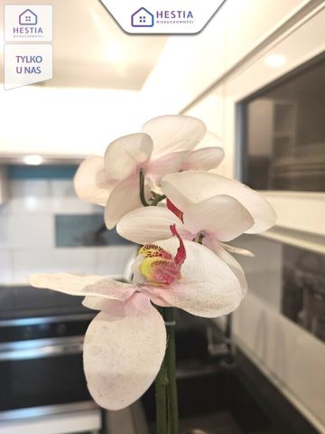 Mieszkanie 2-pokojowe Stargard, os. gen. Józefa Hallera. Zdjęcie 8