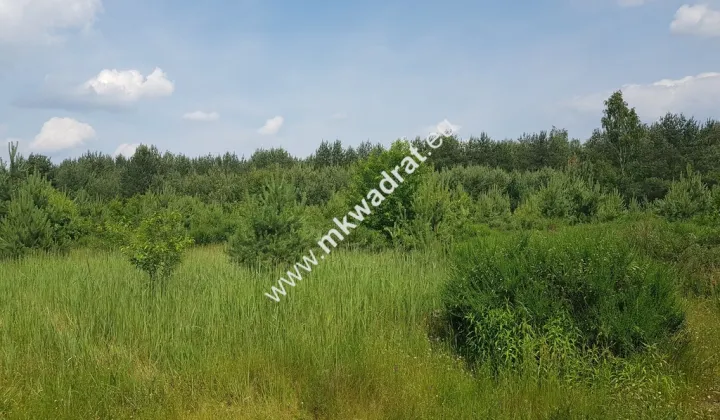 Działka rolna Grzegorzewice, ul. Tarczyńska