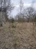 Działka rolno-budowlana Radomsko, ul. Hubala. Zdjęcie 2