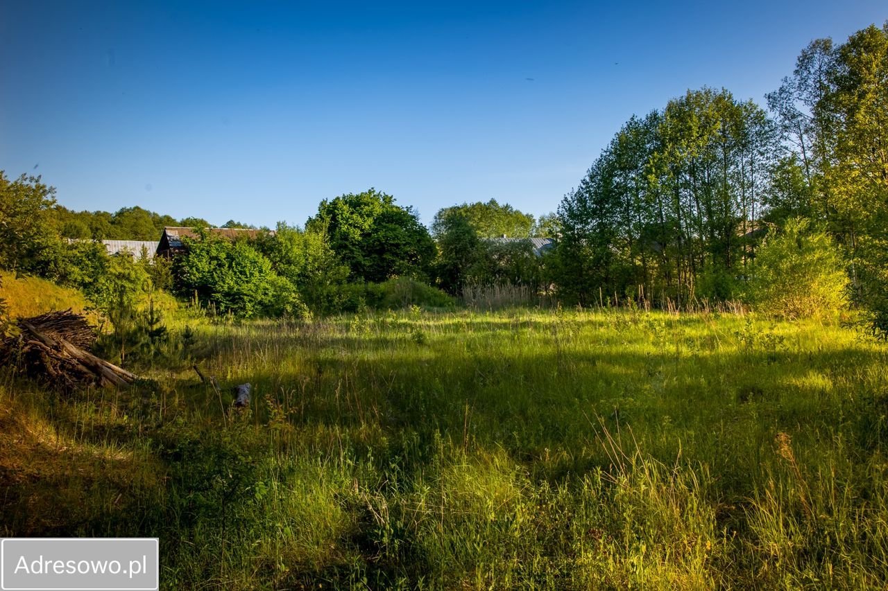 Działka budowlana Augustów Sajenek, ul. Jutrzenki. Zdjęcie 7