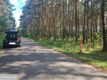 Działka leśna Ostrowy nad Okszą, ul. Zadworna. Zdjęcie 3