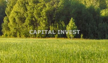 Działka na sprzedaż Szczepanów  6000 m2