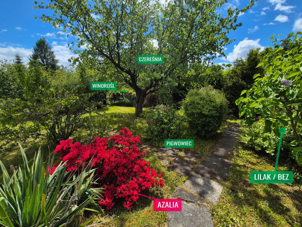 Działka rod Przemyśl Kruhel Wielki. Zdjęcie 6