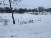 Działka budowlana Rogowo. Zdjęcie 3