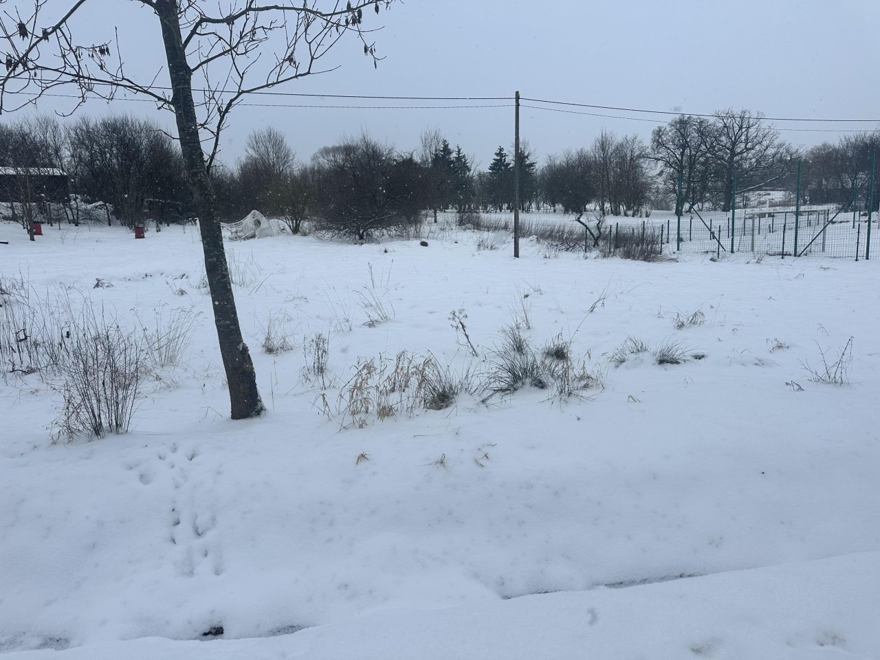 Działka budowlana Rogowo. Zdjęcie 4