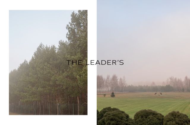 dom wolnostojący, 8 pokoi Kampinos. Zdjęcie 29