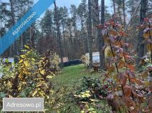 Działka leśna Elżbietowo