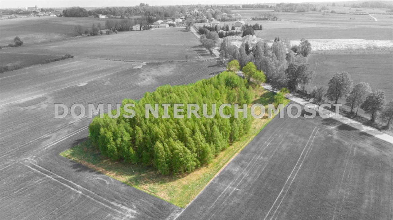 Działka budowlana Olsza. Zdjęcie 3