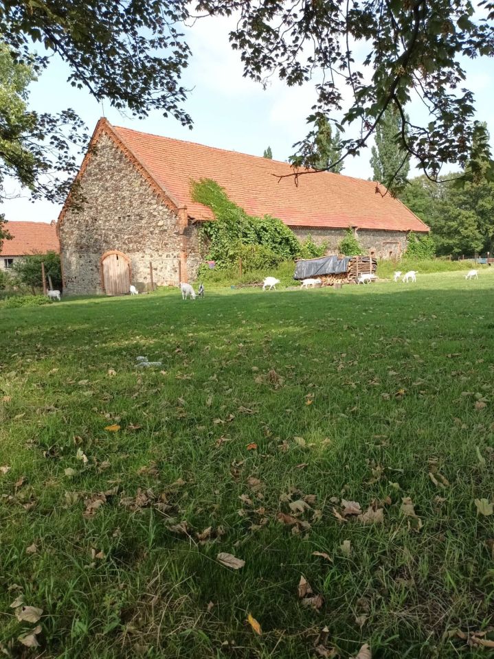 Działka Wilków Wielki. Zdjęcie 5