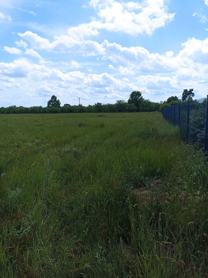 Działka rolno-budowlana Zabrodzie. Zdjęcie 6