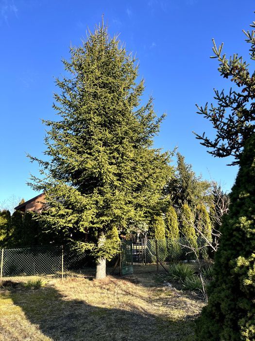 Działka rod Styrzyniec. Zdjęcie 7