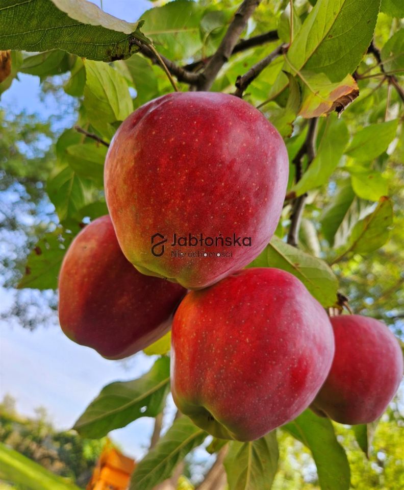 Działka budowlana Bydgoszcz Zimne Wody. Zdjęcie 1