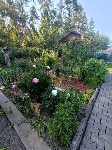 Działka rod Nowy Targ. Zdjęcie 1