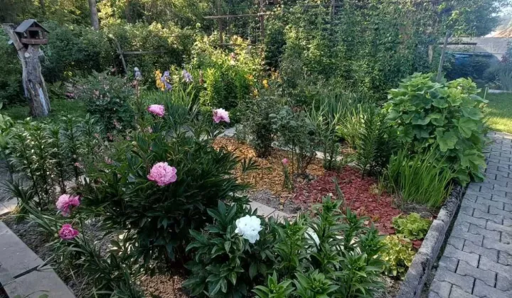 Działka rod Nowy Targ