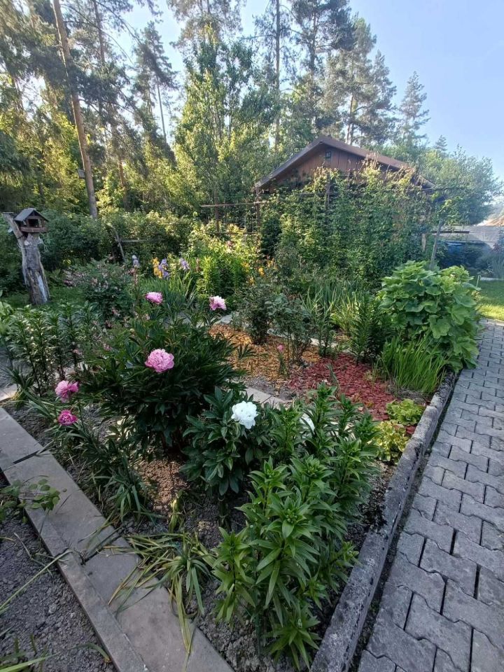 Działka rod Nowy Targ. Zdjęcie 1