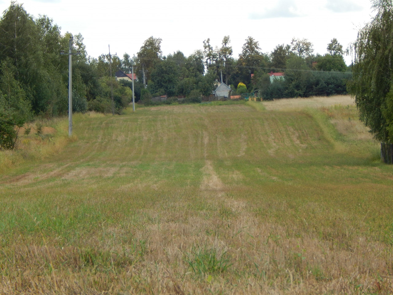 Działka rolno-budowlana Brzóza Parcela, ul. Parcela. Zdjęcie 6