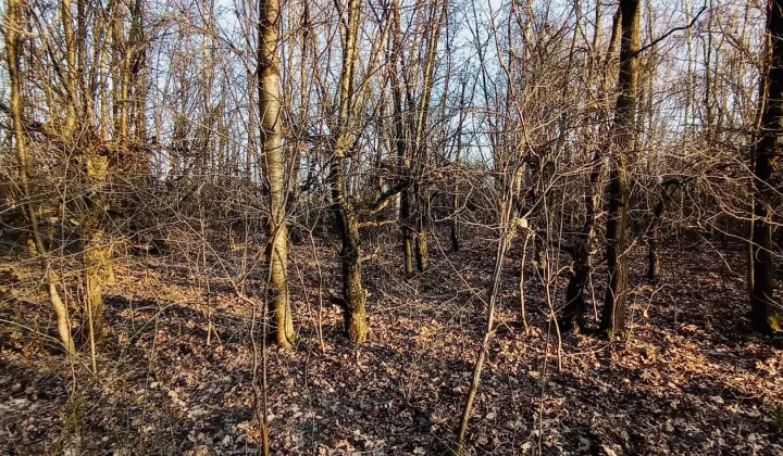 Działka budowlana Książenice