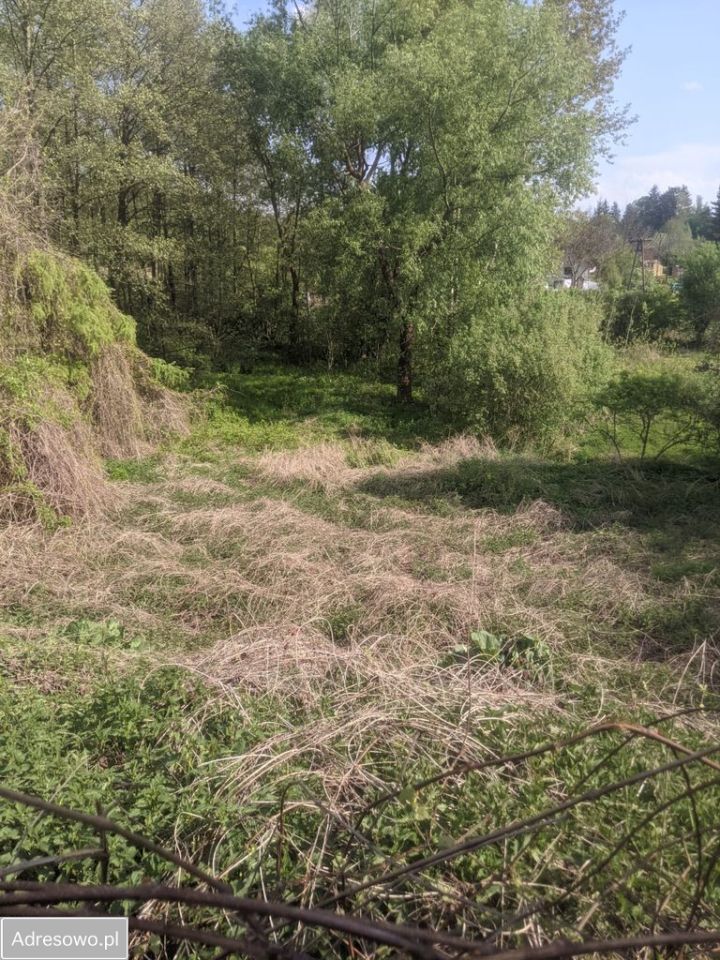 Działka siedliskowa Cegielnia. Zdjęcie 7