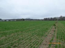 Nieruchomość komercyjna Borownica Laski, Zakładowa. Zdjęcie 3