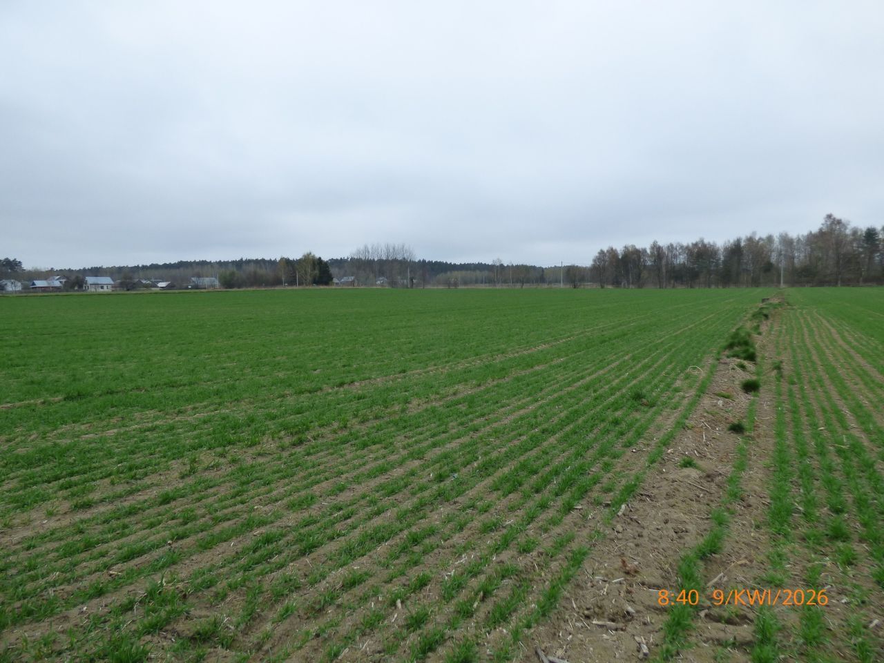 Nieruchomość komercyjna Borownica Laski, Zakładowa. Zdjęcie 4