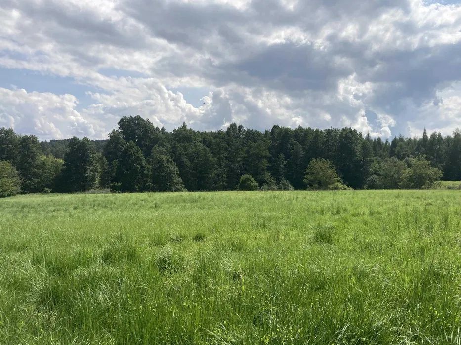Działka rolno-budowlana Koźmice Wielkie. Zdjęcie 7