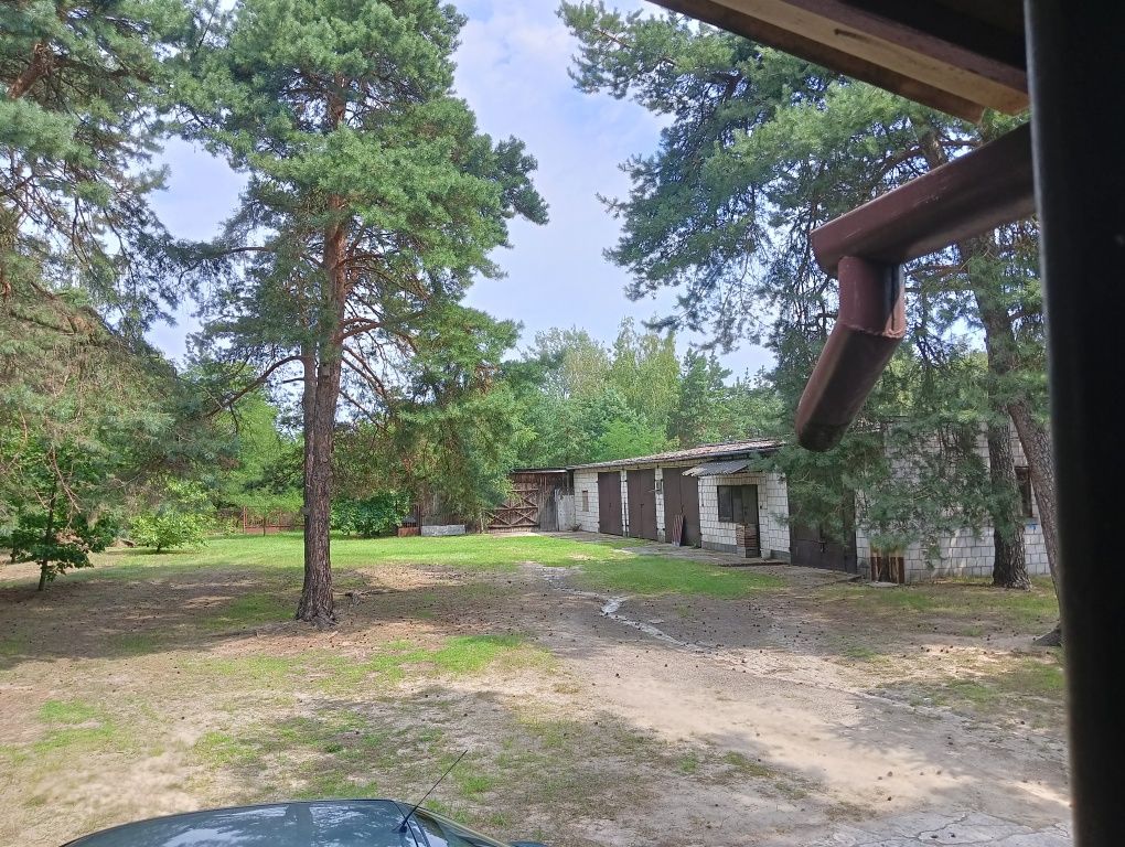 gospodarstwo Mniszew. Zdjęcie 8