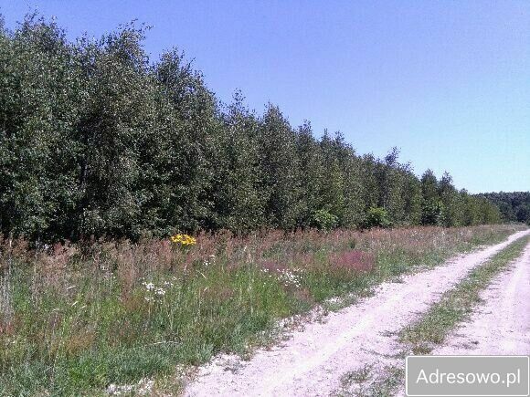 Działka budowlana Brańszczyk. Zdjęcie 12