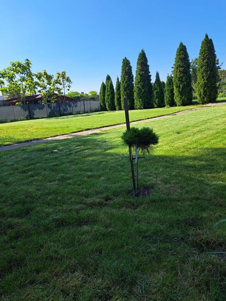 Działka rod Kościan, ul. Łąkowa. Zdjęcie 7