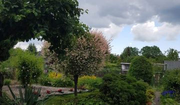 Działka rod Tczew, ul. Targowa