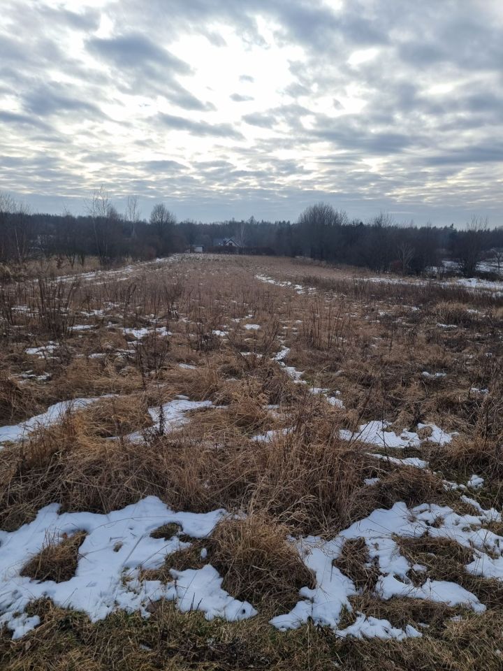 Działka rolna Pierzchno. Zdjęcie 4