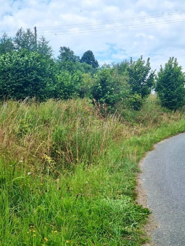 dom wolnostojący, 3 pokoje Wyszki. Zdjęcie 13