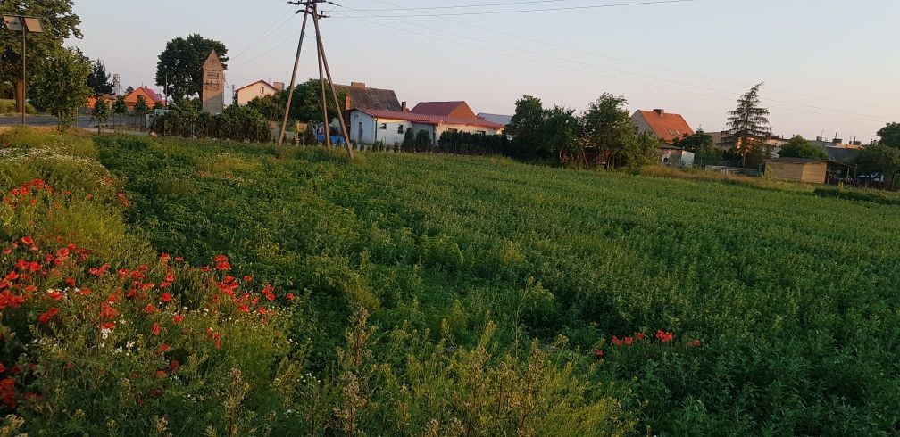Działka rolno-budowlana Chawłodno. Zdjęcie 4