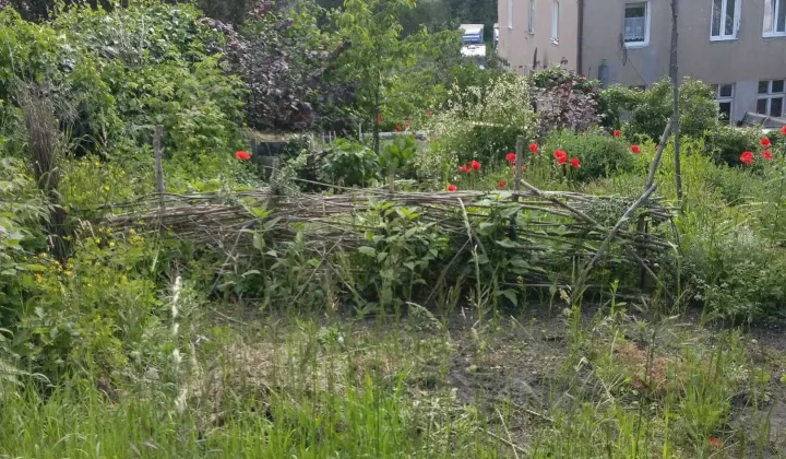 Mieszkanie 2-pokojowe Gniezno Centrum, ul. Jeziorna