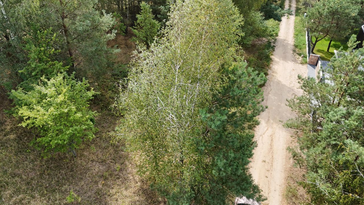 Działka budowlana Cierzpięty. Zdjęcie 9