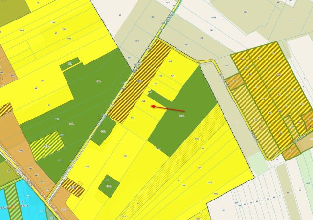 Działka rolno-budowlana Pieńki-Strzyże, ul. Sosnowa. Zdjęcie 1