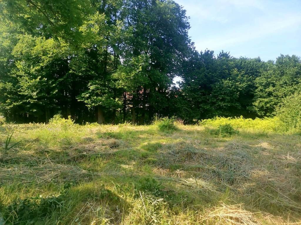 Działka siedliskowa Przystawy. Zdjęcie 5