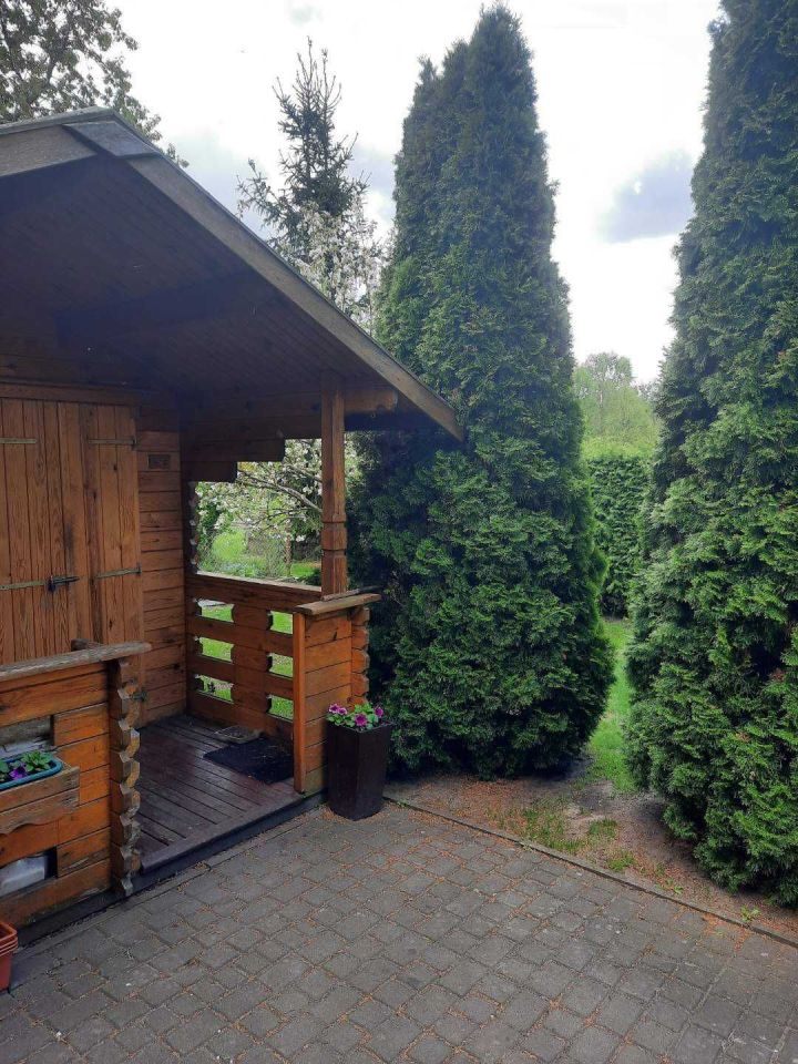 Działka rod Jastrowie, ul. Mickiewicza. Zdjęcie 5