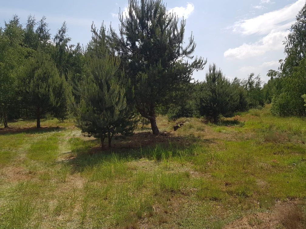 Działka budowlana Gilówka Górna. Zdjęcie 4