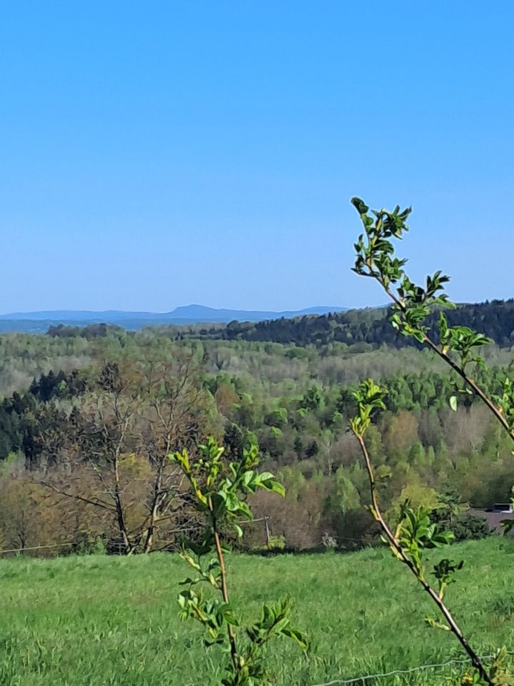 Działka budowlana Bączal Górny, Bączal Górny. Zdjęcie 3