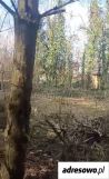 Działka Ostrów. Zdjęcie 3