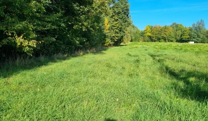 Działka rolna Złoty Potok