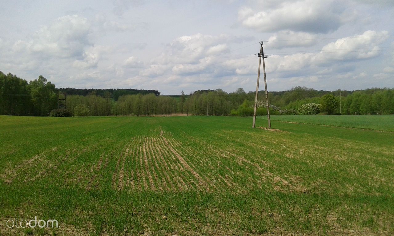 Działka rekreacyjna Sabinów. Zdjęcie 6