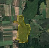 Działka rolna Rotnowo. Zdjęcie 2